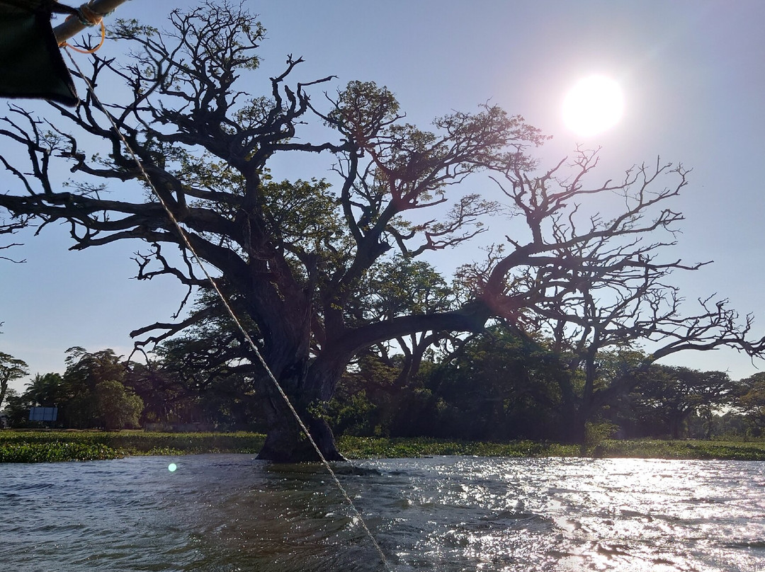 Double Lake View Tissa & Safari