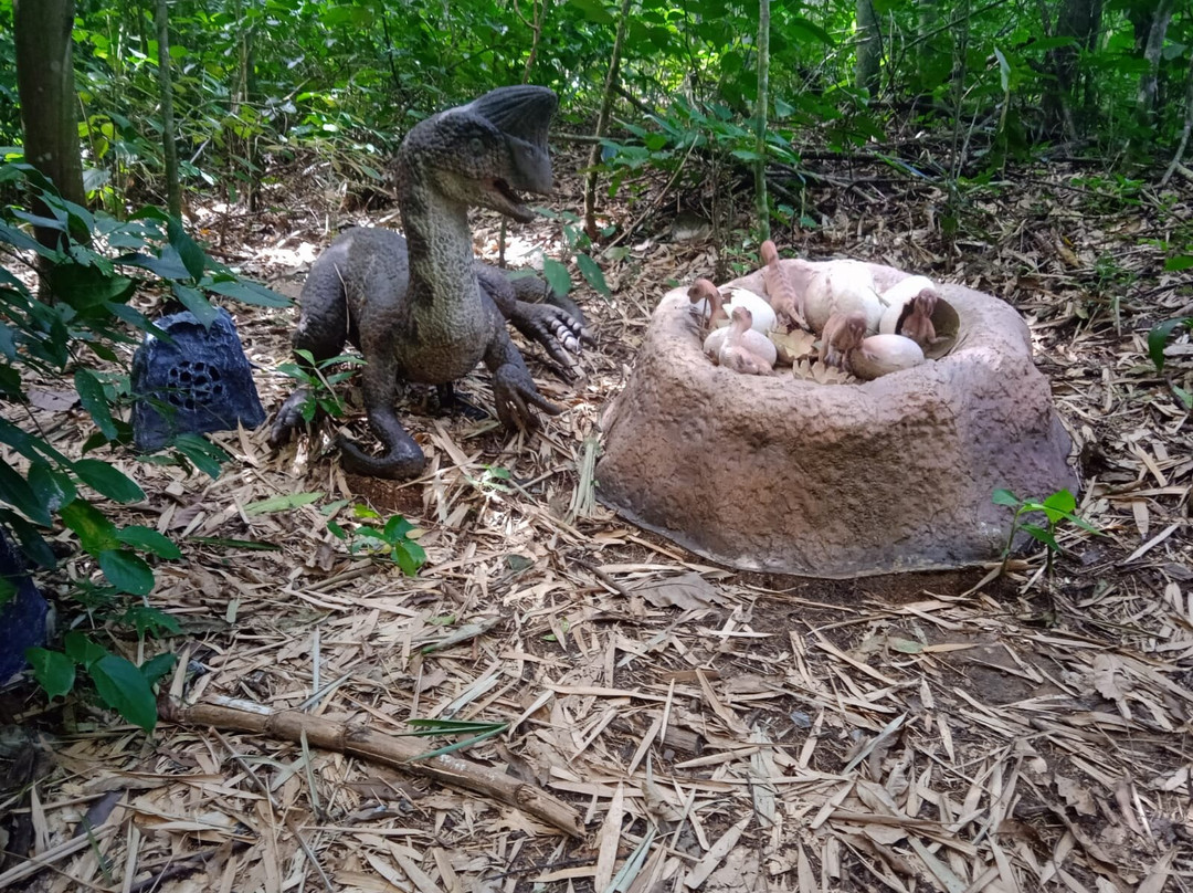 Terra Dos Dinos-Miguel Pereira必去景点