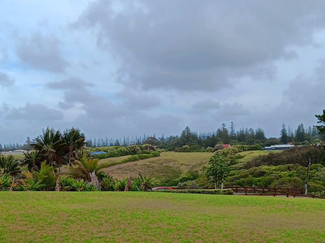 南太平洋度假村主图