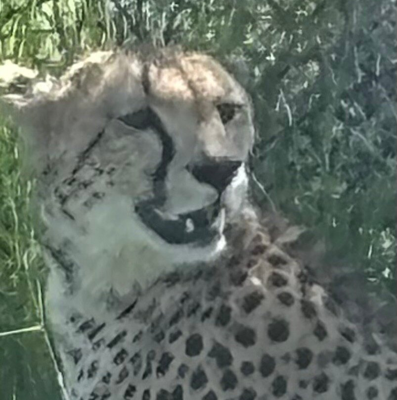 Zanbest Tours and Safaris-Sinoni必去景点