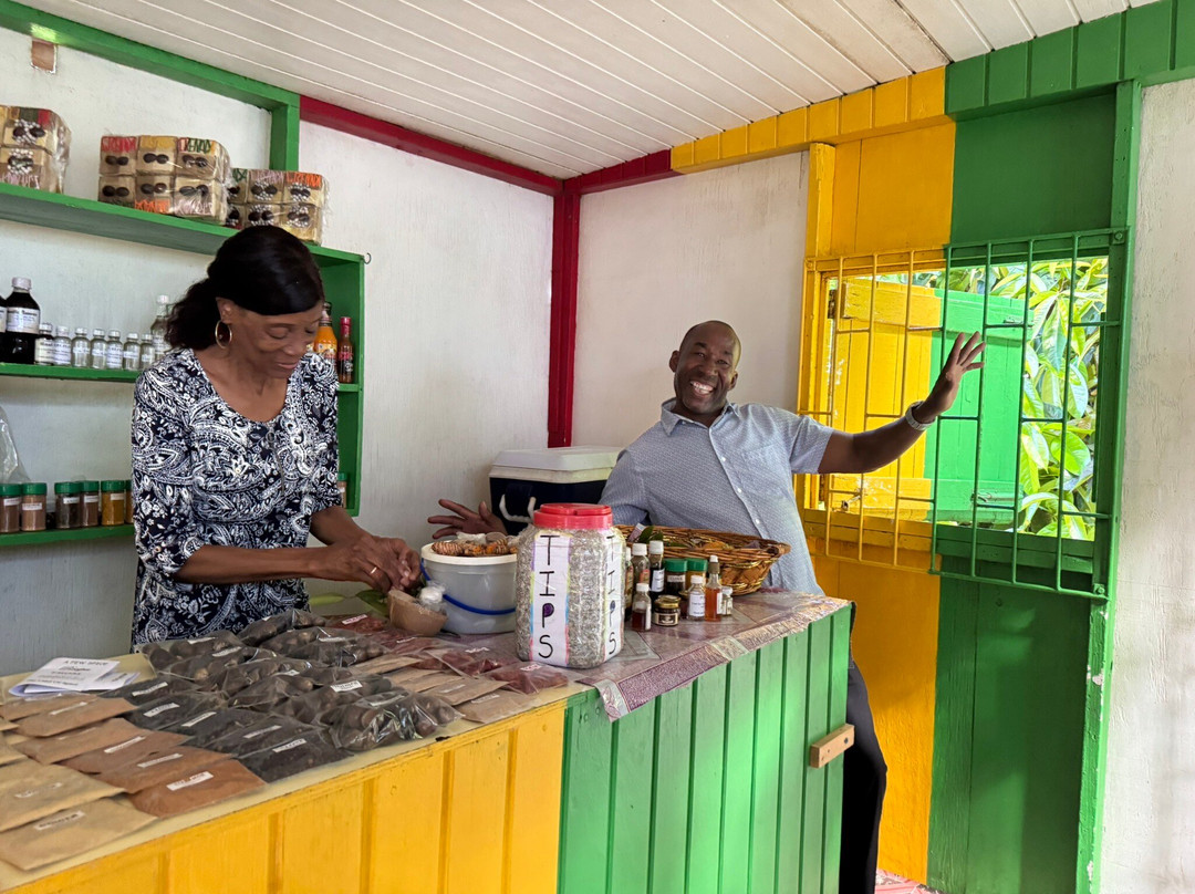 JnJ Tours-St. George's必去景点