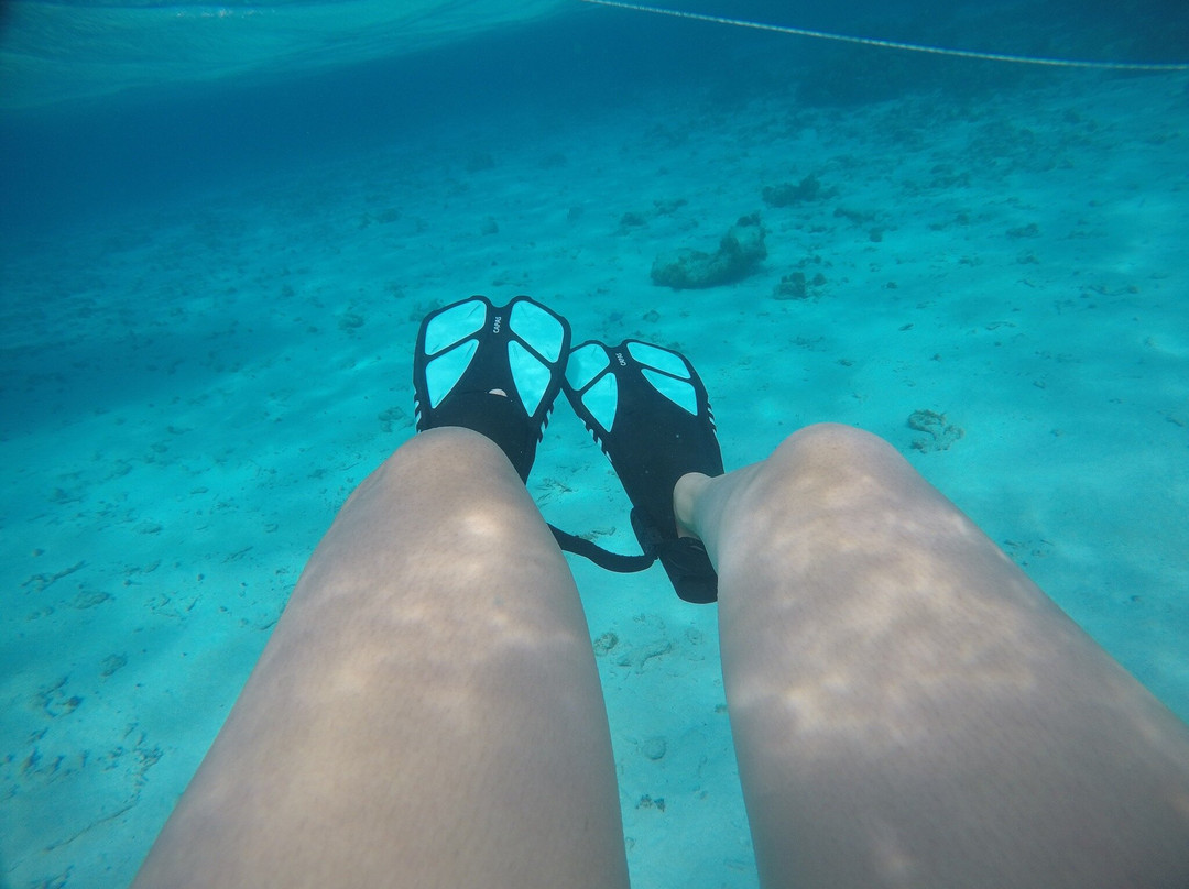 Blue Haven Charters-Rum Point必去景点