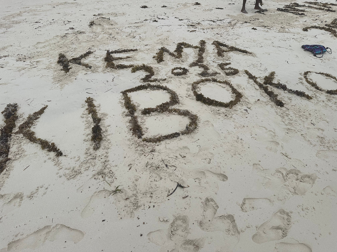 Safari Kenya Con Aragosta-瓦塔木必去景点