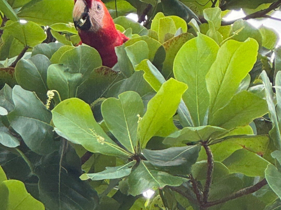 Terraza Del Pacifico主图