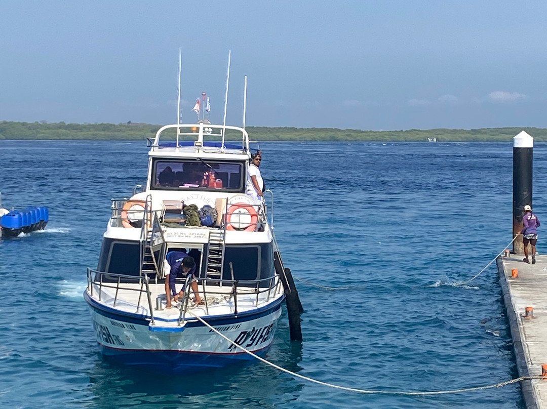 Ray Fish Fast Cruises-Sanur Kauh必去景点