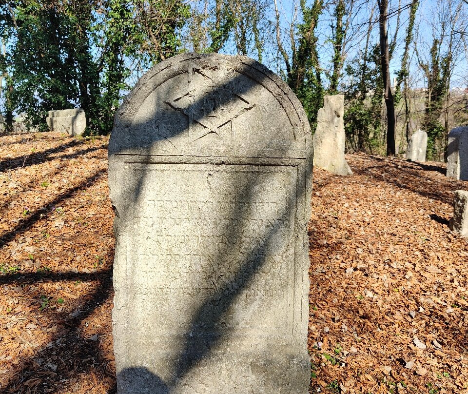 Antico Cimitero Ebraico di Conegliano-科内利亚诺必去景点
