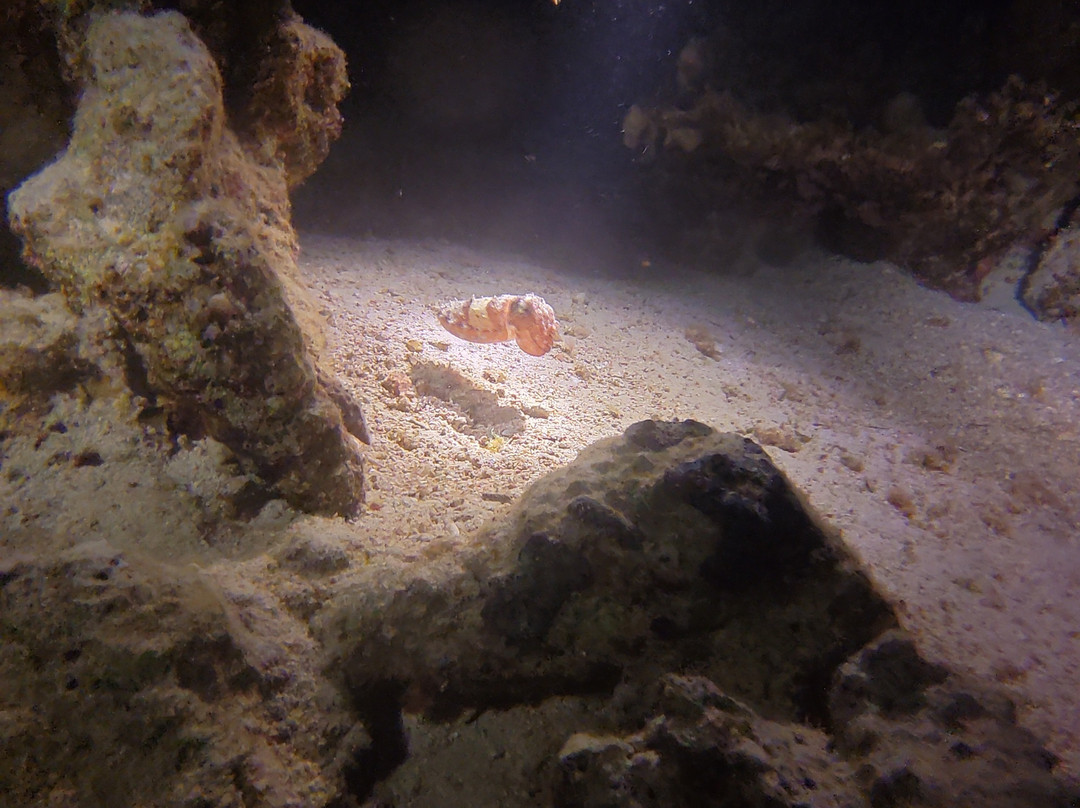 Egypt International-赫尔格达必去景点