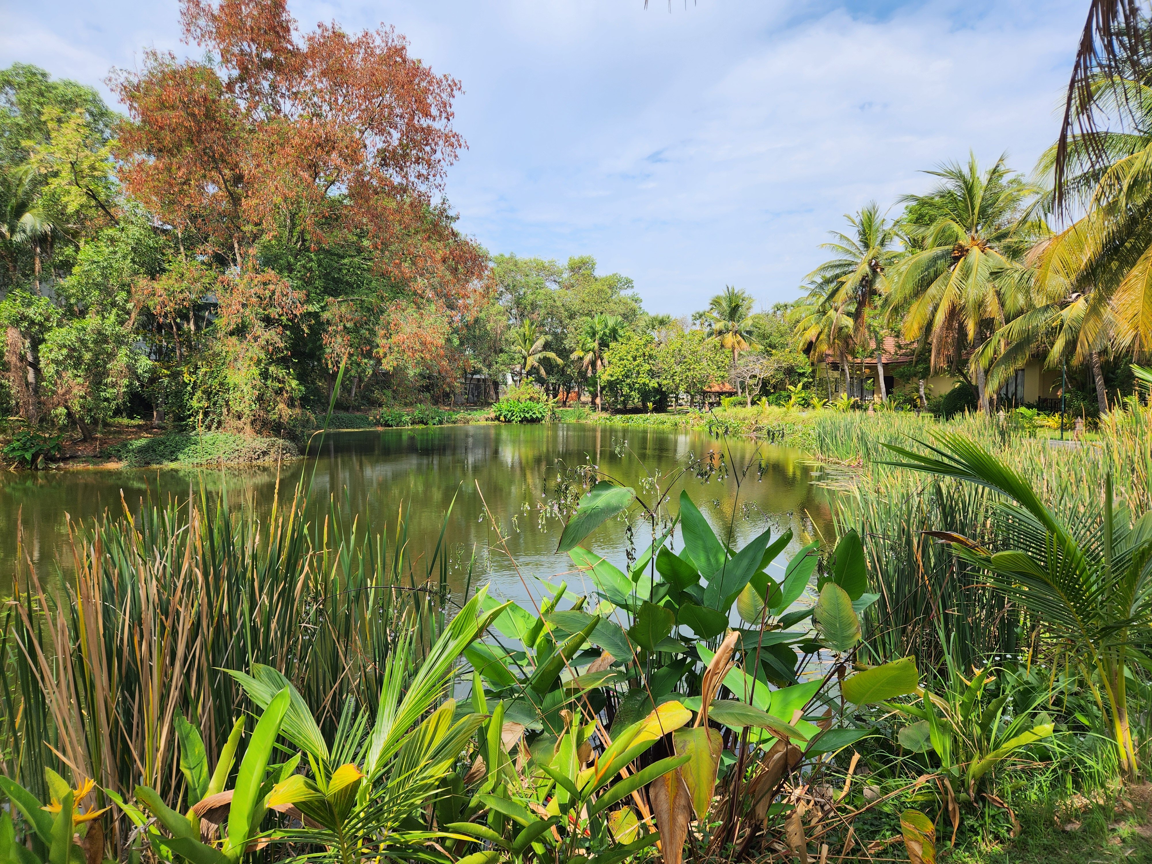 暹粒花园皇宫度假村-浴室