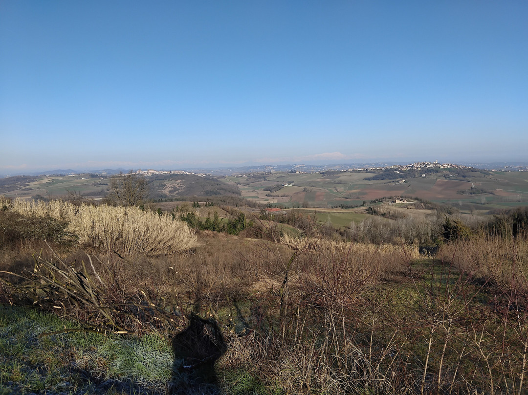 Strada Panoramica Tra Cuccaro Monferrato e Lu景点图片