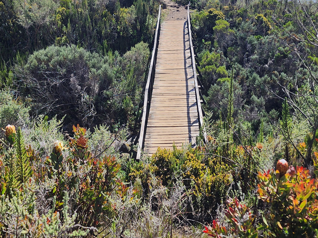 Blessing Safaris-阿鲁沙必去景点