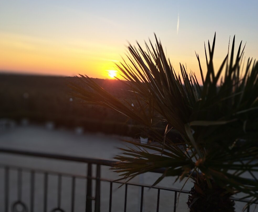 Park Hotel Elizabeth主图