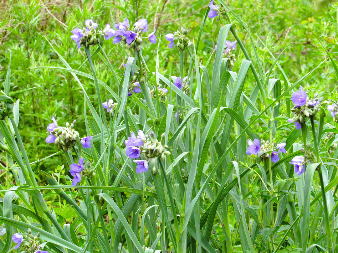 Baldpate Mountain-Titusville必去景点