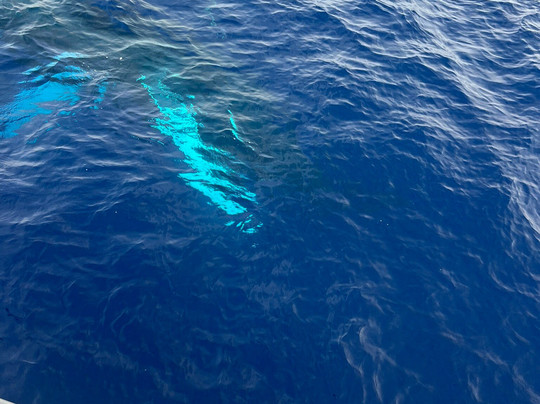 Maui Magic-怀露库必去景点