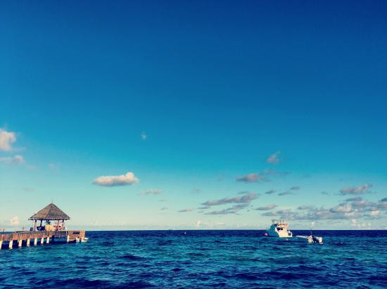 泰姬珊瑚礁度假村主图