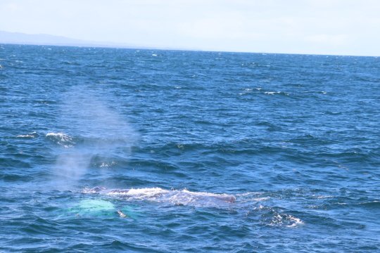 拉贝拉文图拉度假村-官方