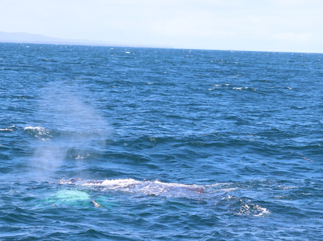 Hotel Labellaventura主图