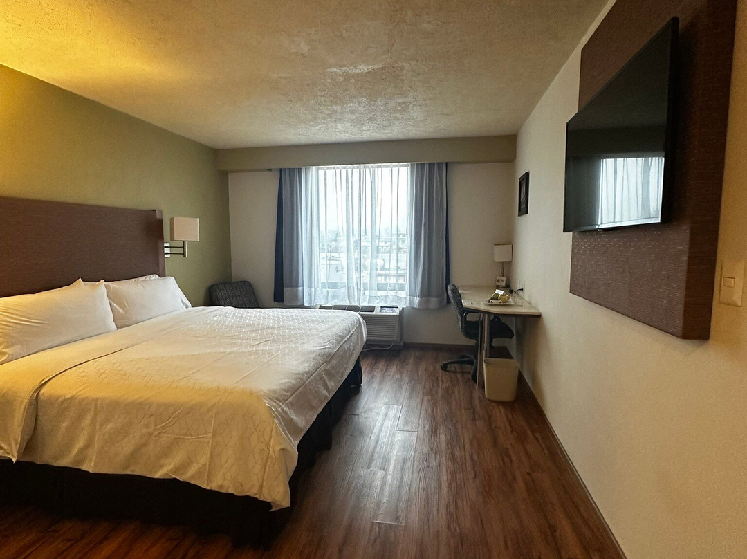 Holiday Inn Orizaba by IHG主图