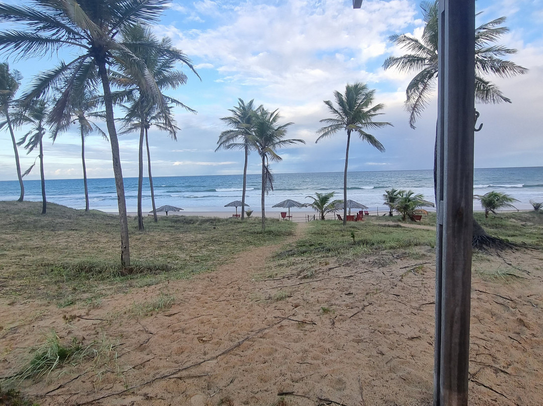 Hotel Coco Beach主图