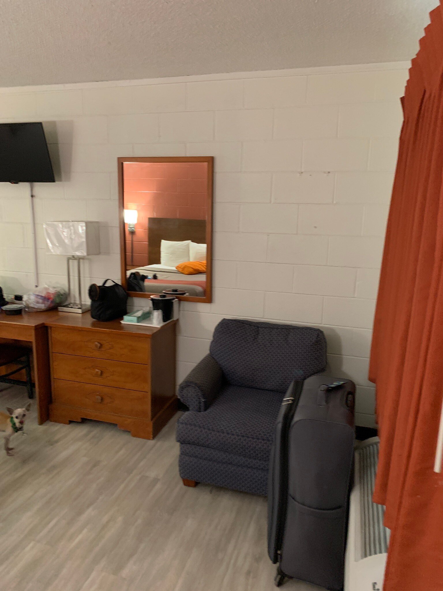 Regency Inn & Suites-官方