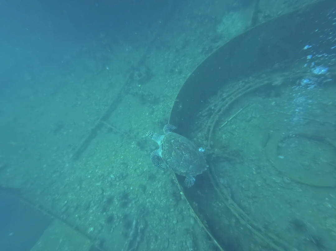 Local Divers-象岛必去景点