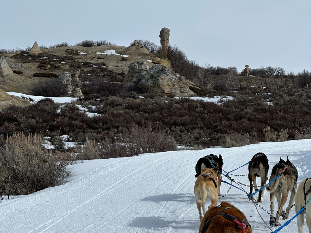 Grizzle-T Dog & Sled Works-斯廷博特斯普林斯必去景点