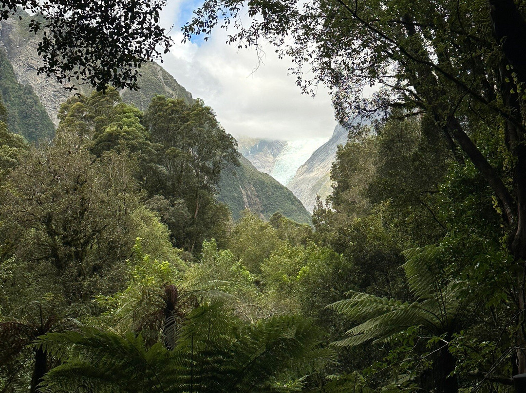 Glacier Valley Eco Tours-西海岸地区必去景点