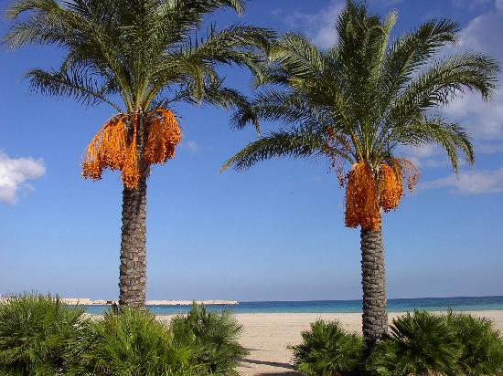 Baglio La Luna B&B主图