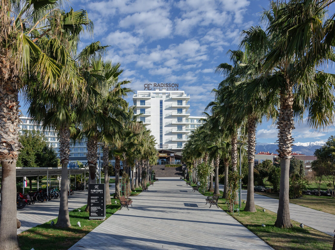 艾德勒酒店住宿-Radisson Collection Paradise Resort & Spa, Sochi