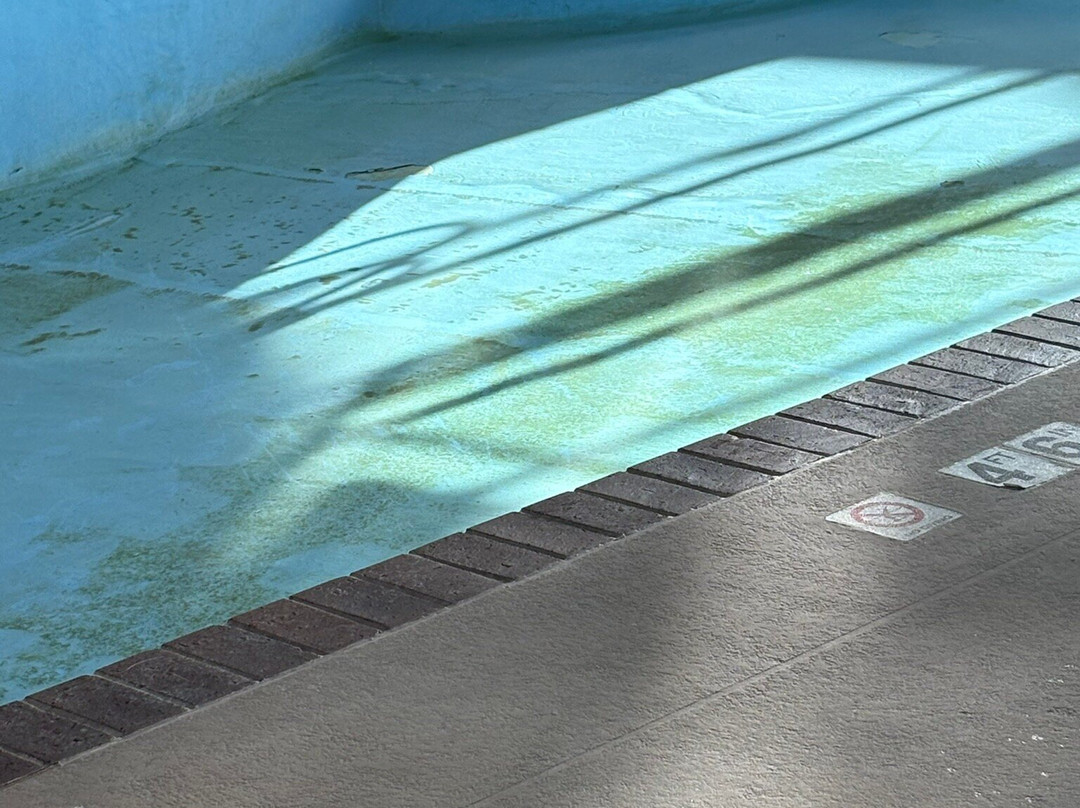 芝加哥麋鹿林村假日酒店主图