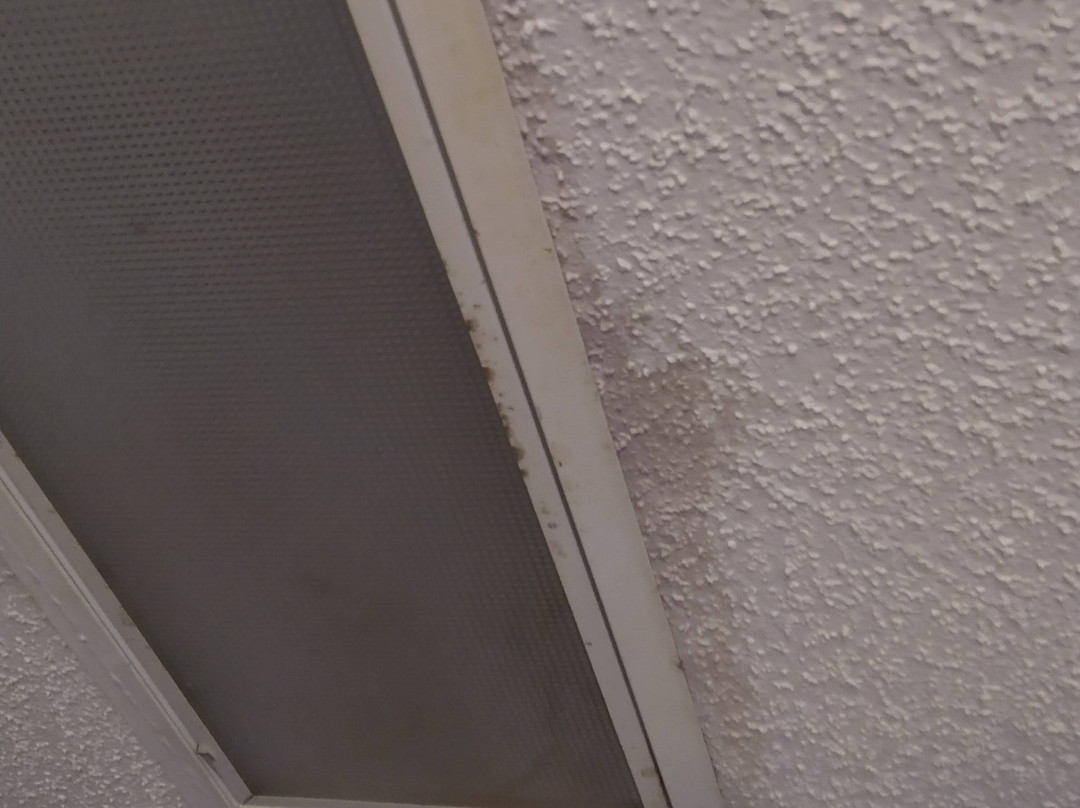 Baymont by Wyndham Prattville主图