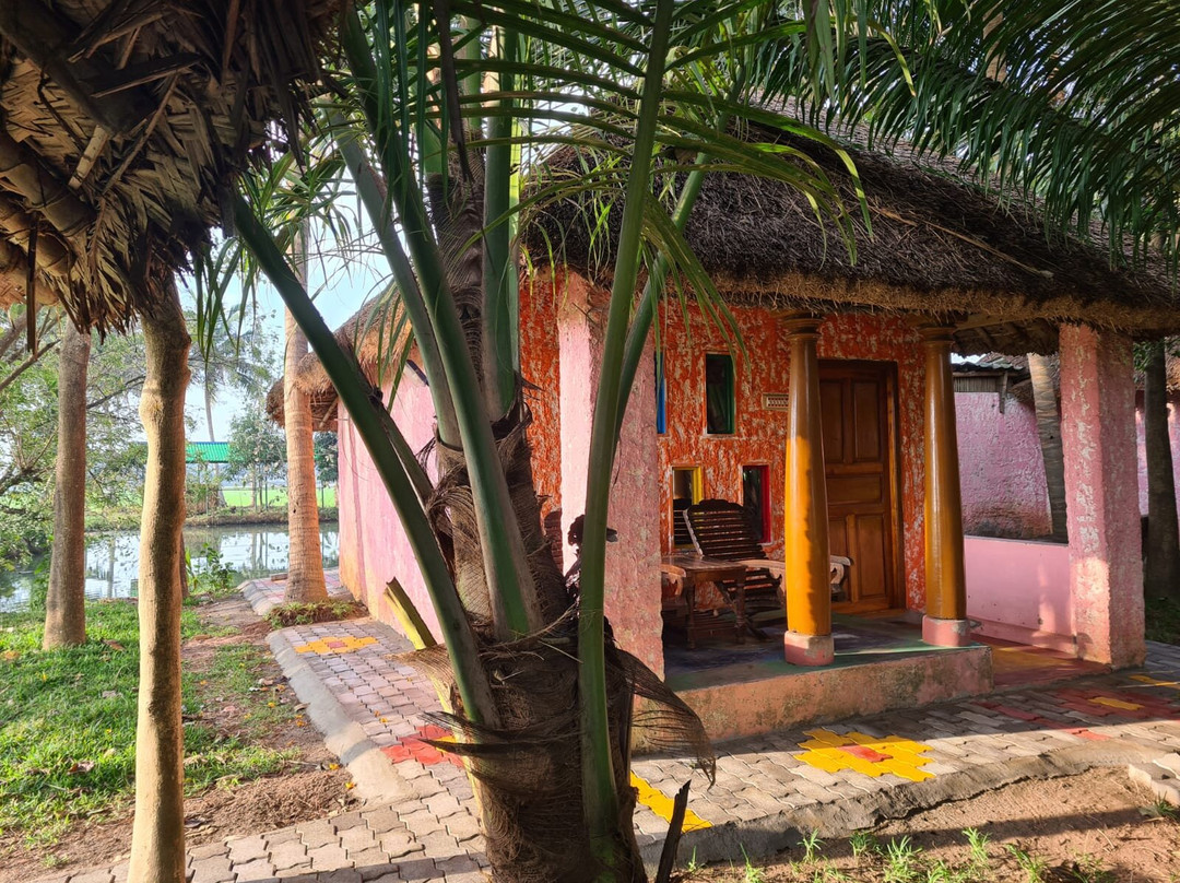 Paddy Homestay主图
