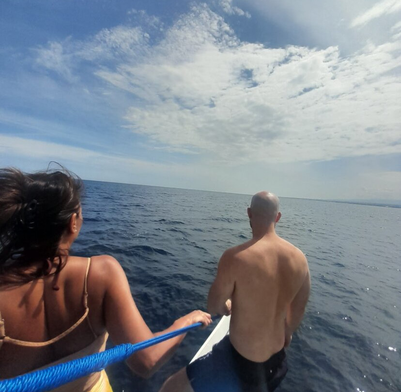 Mang Nono Dolphin Tour-新加拉惹必去景点