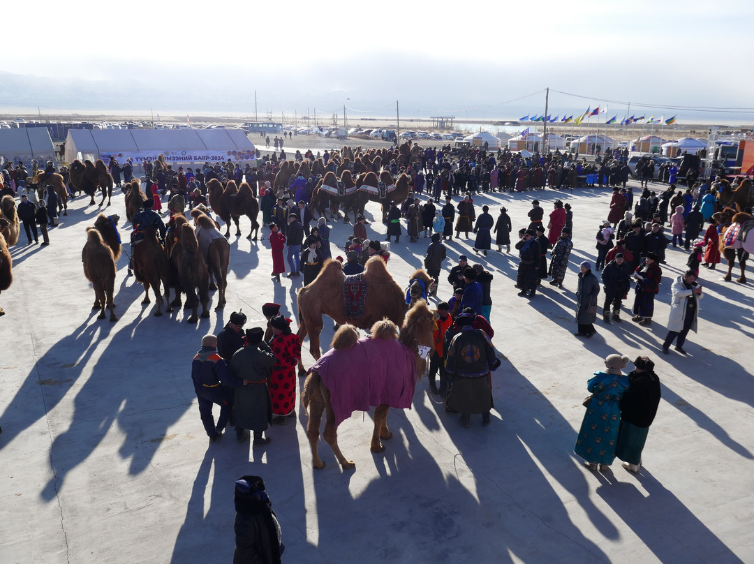 Nomadic Spirit Journeys and Camel Treks Australia景点图片