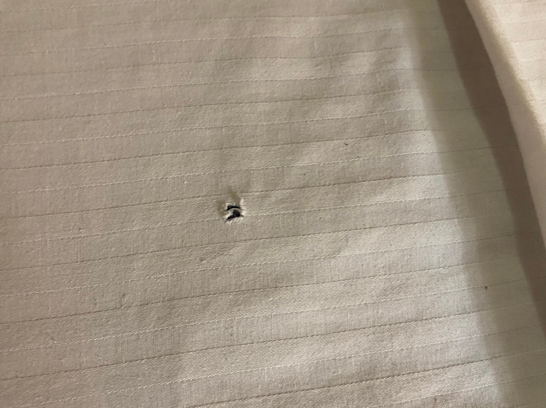 霍尔布鲁克华美达旅店主图