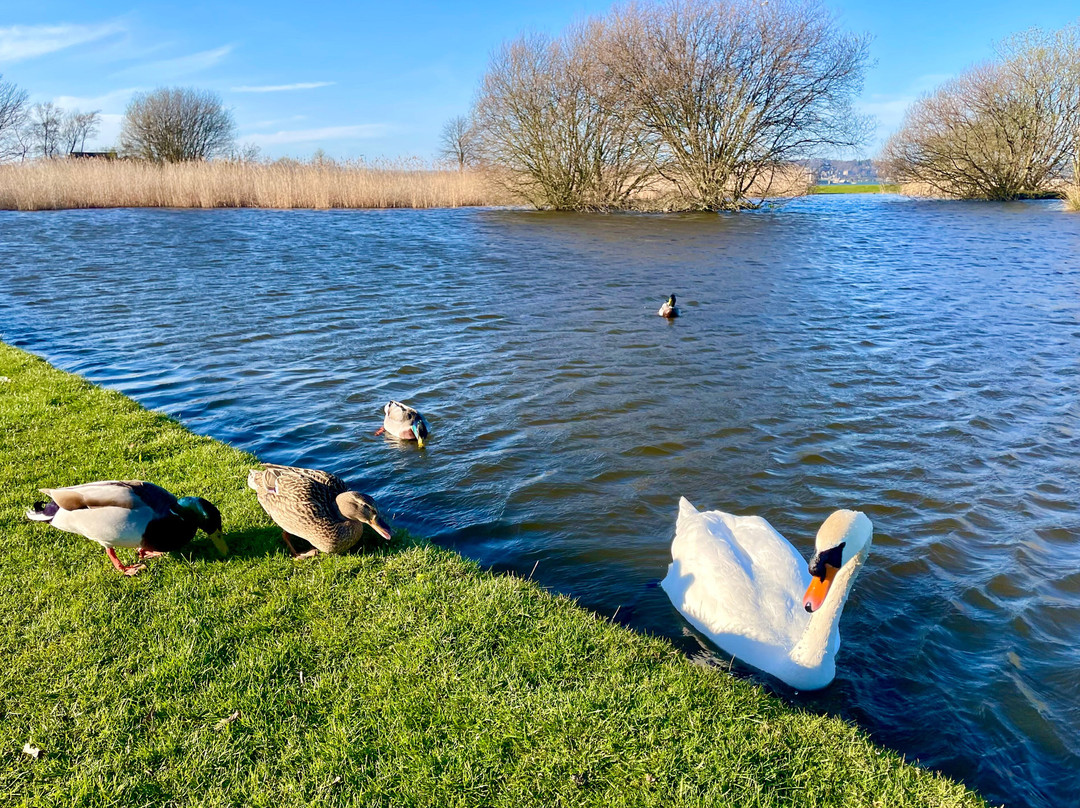 Tayport Common-Tayport必去景点