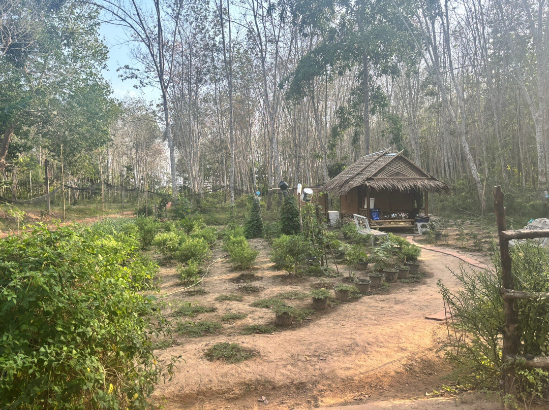 Mookda Restaurant