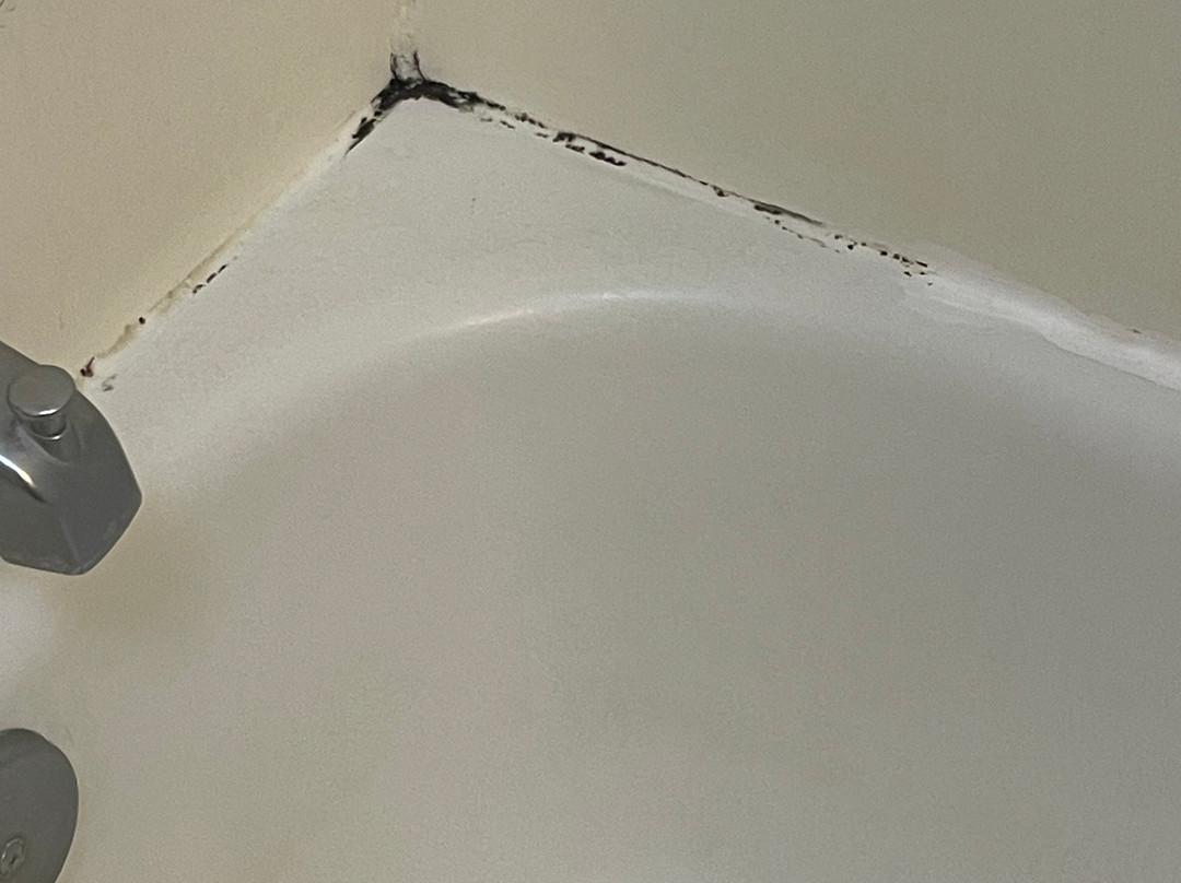 Comfort Suites主图