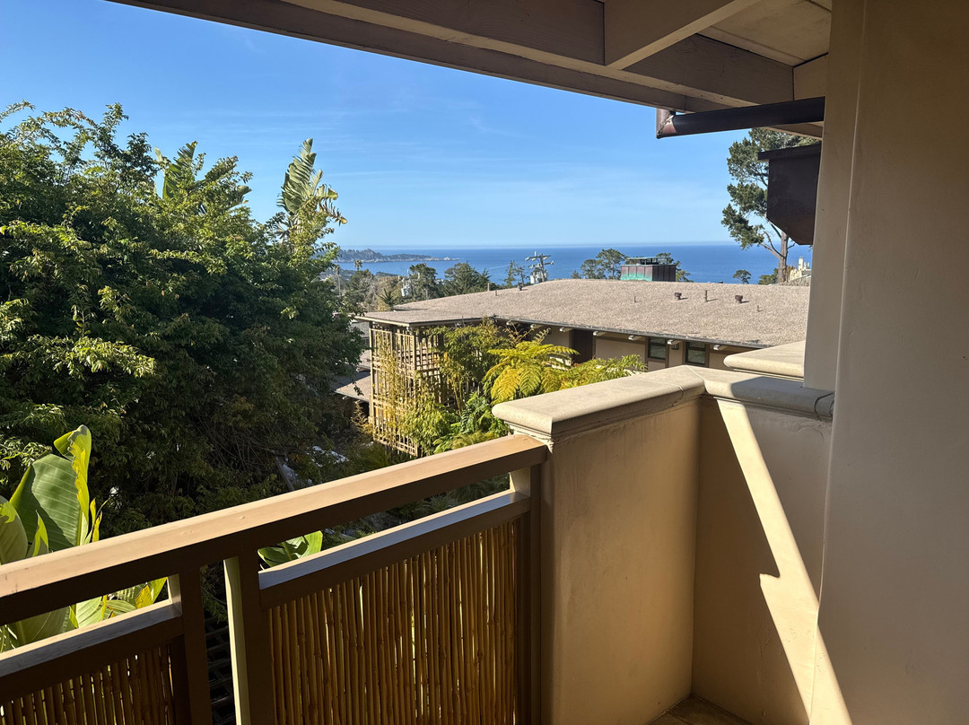 贸易风卡梅尔酒店主图