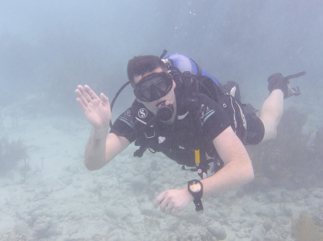 Tropical Divers Resort主图