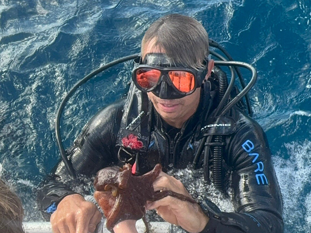 Honolulu Scuba Company-火奴鲁鲁必去景点