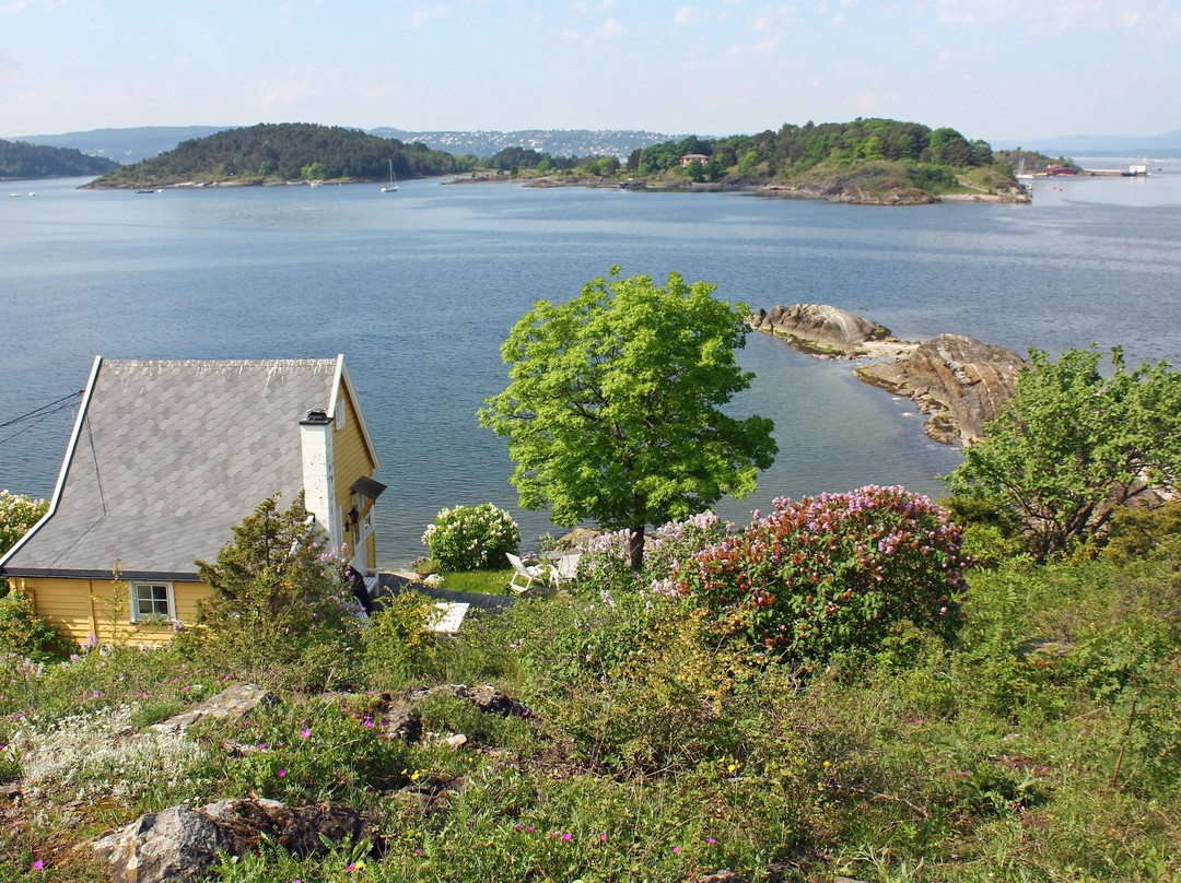 Bleikoeya Island-奥斯陆必去景点