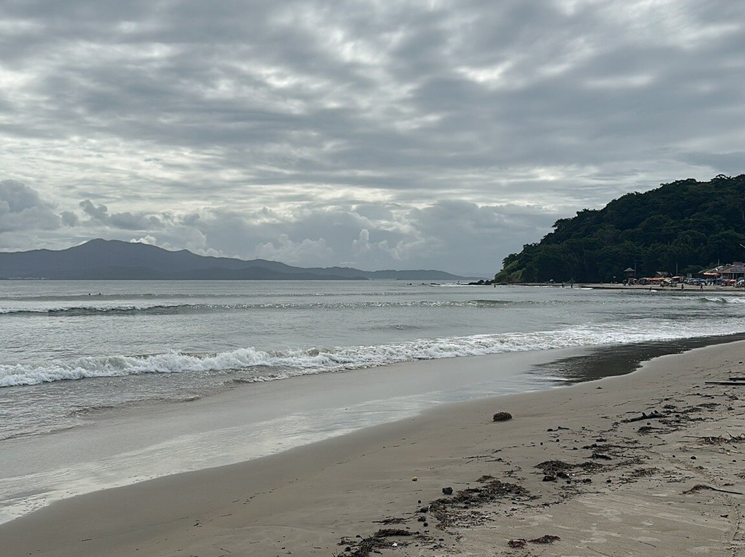 Ponta das Canas Beach-弗洛里亚诺波利斯必去景点