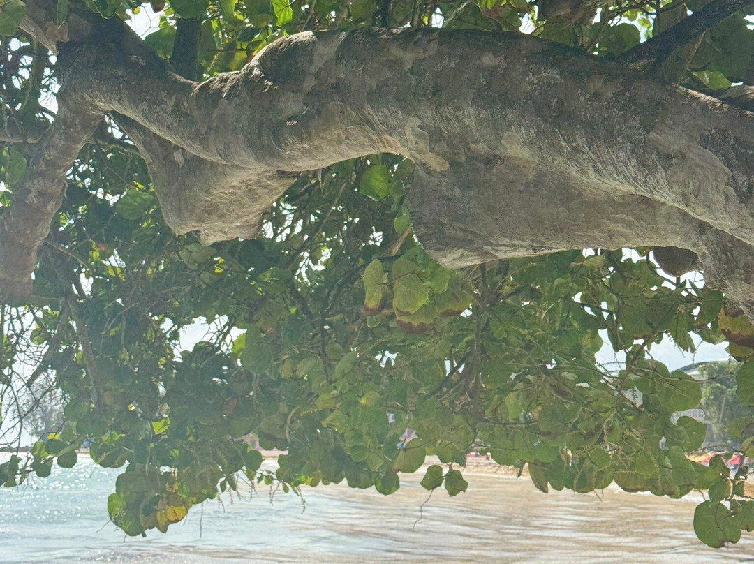 Maresol Beach Apartments主图