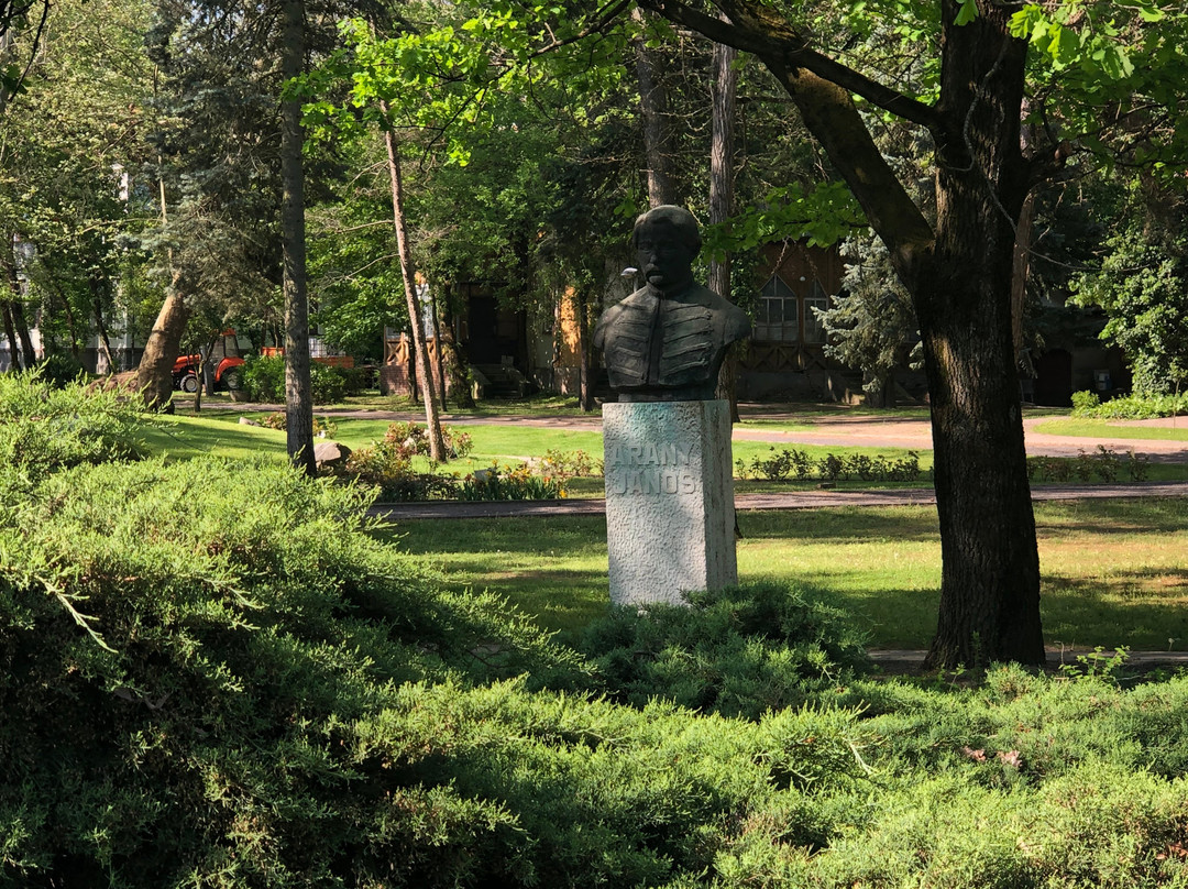 Nagyerdő景点图片