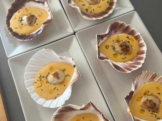 Catamaran Sailing D.o.o.-Matulji必去景点