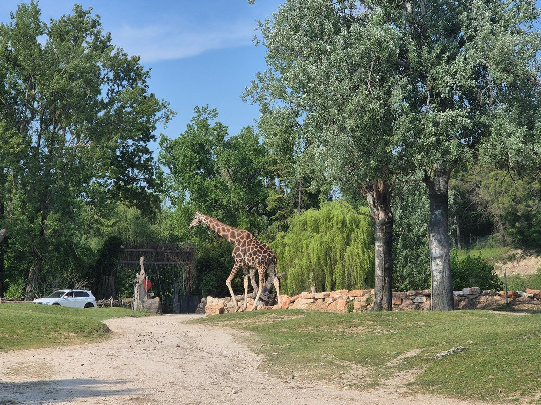 Parco Natura Viva景点图片