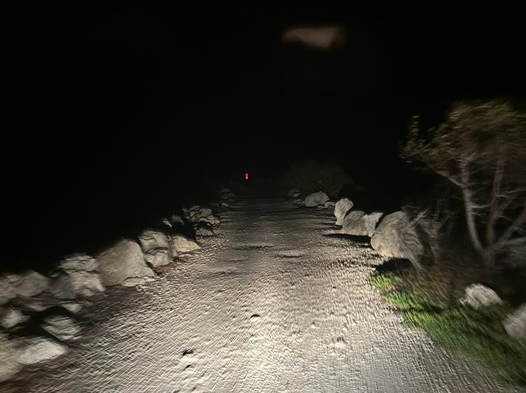 African Queen Canal Cruise-拉哥岛必去景点