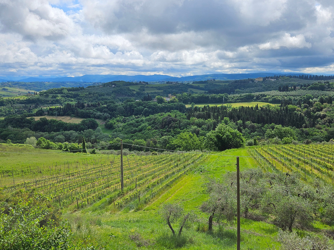 Fattoria San Pancrazio-佩萨河谷圣卡夏诺必去景点