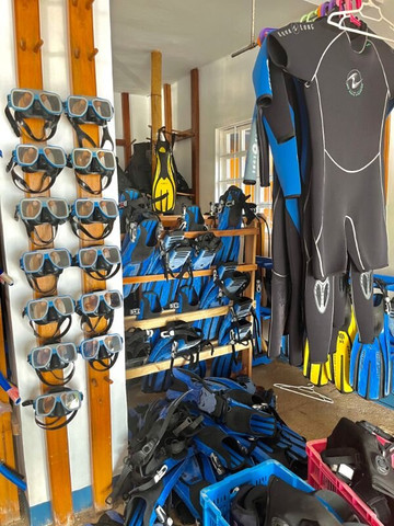 Hikkaduwa Snorkeling And Diving Aloha-希克杜沃必去景点