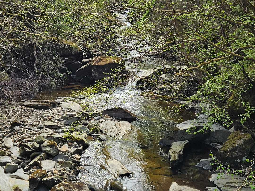 The Birks of Aberfeldy-Aberfeldy必去景点